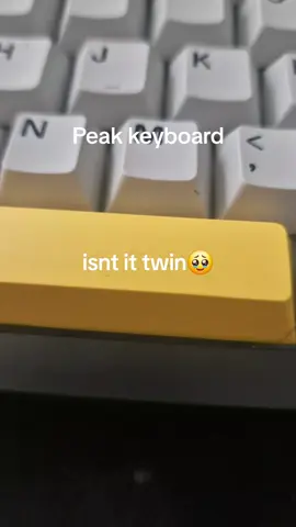 i love the gif thing #incrediblegassy #fyp #funny #keyboard #gif 