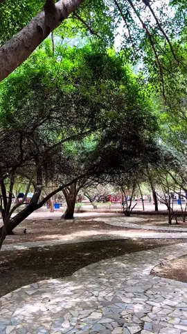 #Taiz #حديقة _التعاون#🍃tiktok #fypシ゚ 
