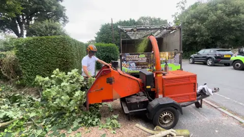Tree Rangers !! Chipping away in Bognor Regis West Sussex !! #team #stihl #work #teamwork #bognorregis 