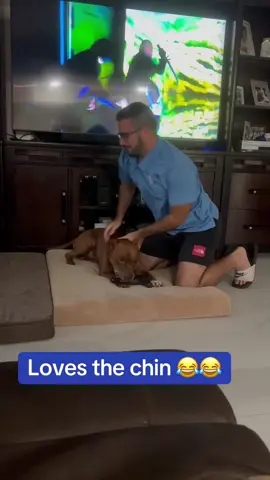 Don't t worry he didn't bite!!!! He gets so excited he nibbles #creativesearchinsight #lovebite #dogsoftiktok #videos #viral @John Del Gardo II - Delly G 