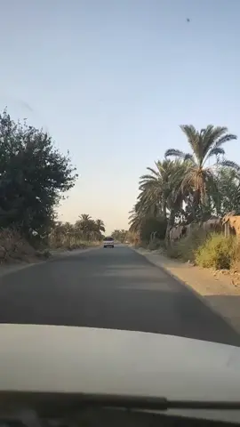 #الوائلي #الوائلي_روح_المنبر_الحسيني #الوائلي_مواعض #الوائلي_ميديا #الوائلي_ميديا 