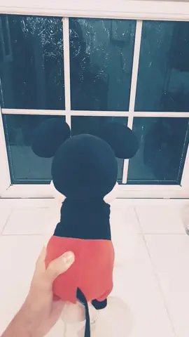 You Better Not Mess With My Gang #ihopethisgoesviral #memes #mickeymouse #plush #trendvid 