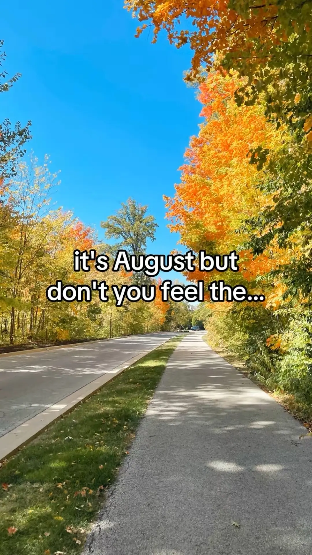 🤔🤔🤔