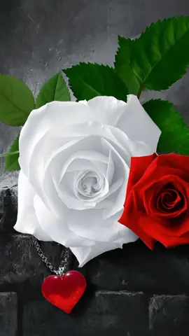 يا سارق الليل بعيونك #نواف_فريح  #شيلات  #تصميم_كاب_كات_2025  #اكسبلور_2025_جديد 