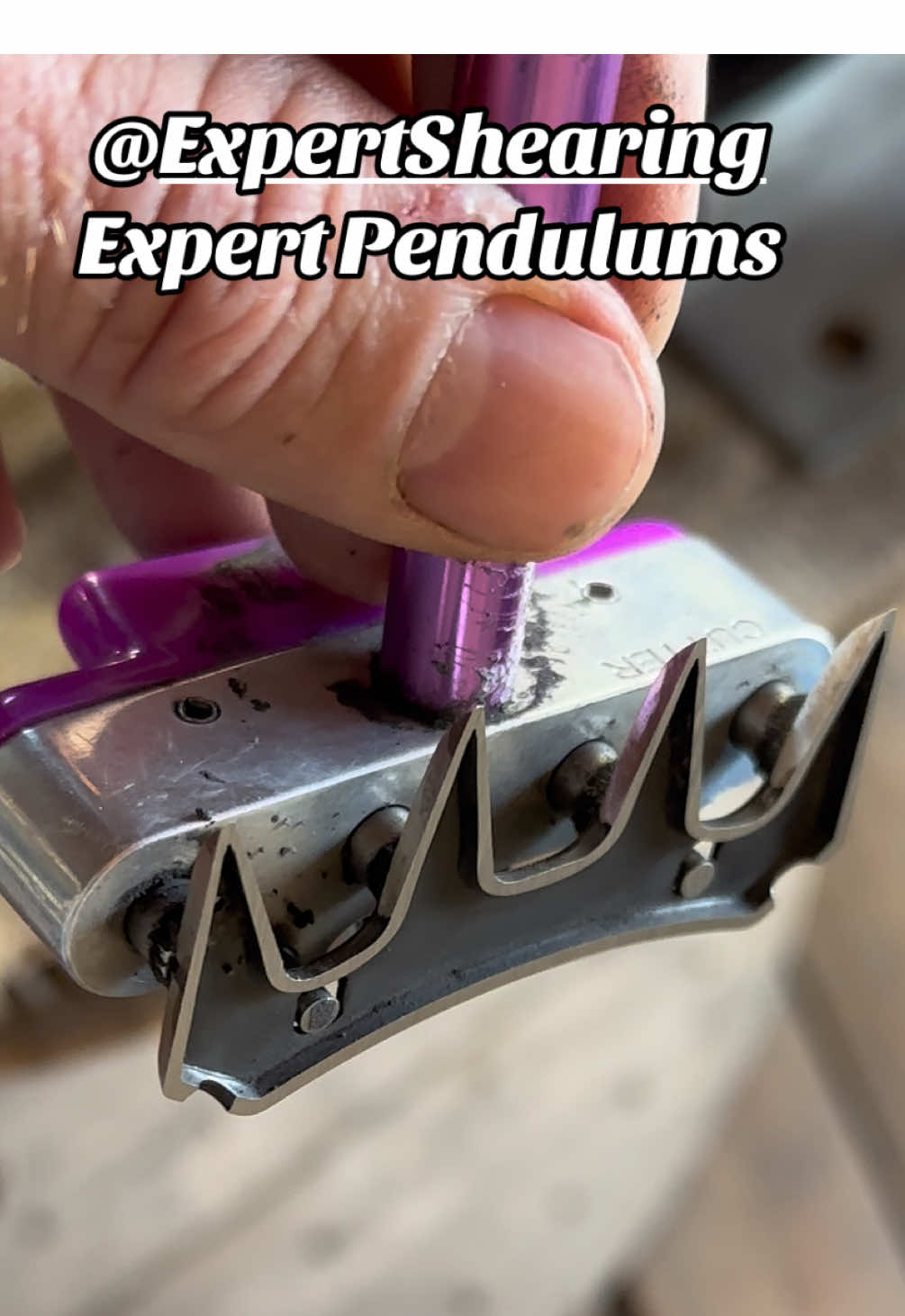 Expert Pendulums by @Expert Shearing - Experience the difference with their patented pushers! 