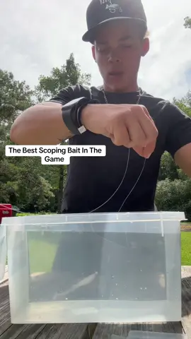 The Hottest FFS Jig Head Out Today ! Click The Link To Get Yours today! making a YouTube video on it next! #fyp #fishing #chompers #letemfly #mikeyfishing 