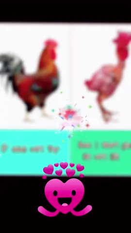 #giaitritiktok #xuhuong @Quang Tèo @Quang Tèo @Quang Tèo 