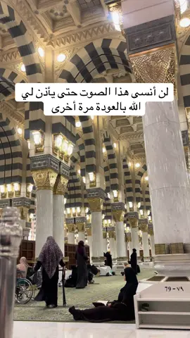 #العمرة #almadina #almasjidalnabawimadinah❤ 