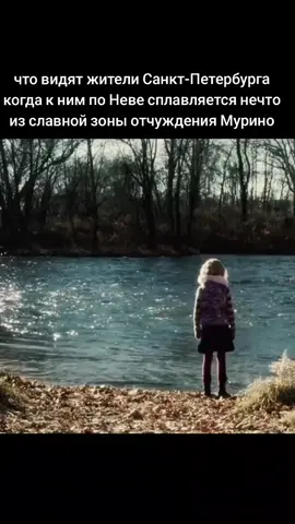 #лабиринтминотавра #ужас #жмурино #мурино 