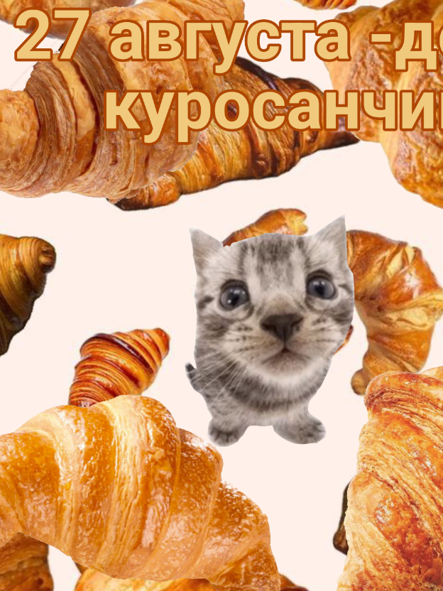 #27августа #милые #куросанчики  тгк: https://t.me/bitboit