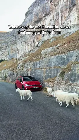 Sheep were paid actors. #fyp #blowthisupforme #volkswagen #Wales #lover 