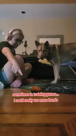 juggling is an often overlooked mechanical skill. but the ability to hold successful unique conversations with multiple learners at the same time is a crucial trainer skill. especially if youre going to be working in multi animal households.  #DogTraining #cattraining #animaltraining #reactivedogtraining #rescuedog 