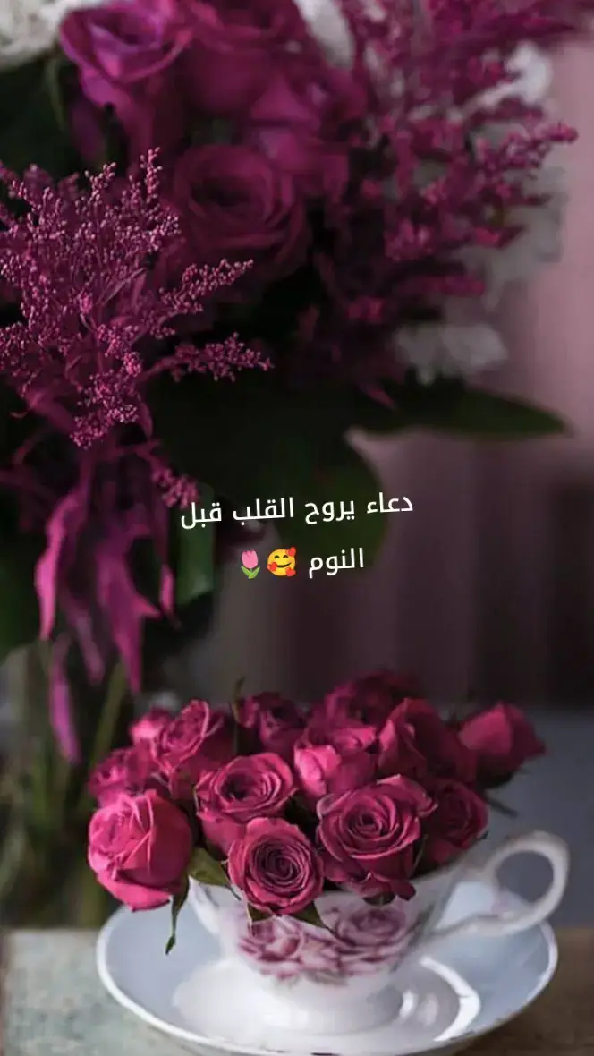 #creatorsearchinsights #دعاء_يريح_القلوب_ويطمئن_النفوس #تفاعلكم #اعملو_حركه_الاكسبلور 