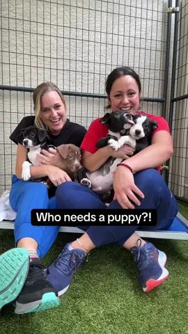 I think the real question is who doesn’t need a puppy?!? 🐶🐾 #youdo #trending #puppytiktok #rescuepuppy #fyp 