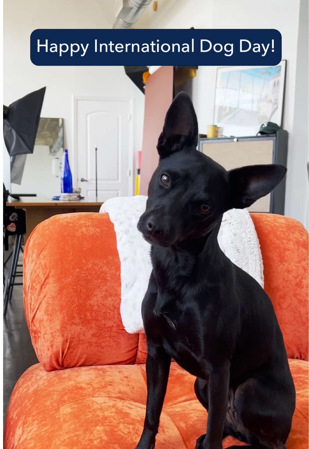 Mom used to be too busy to play, but now that Intuit’s AI agents handle the tough stuff for her, it’s all fetch and cuddles. #InternationalDogDay