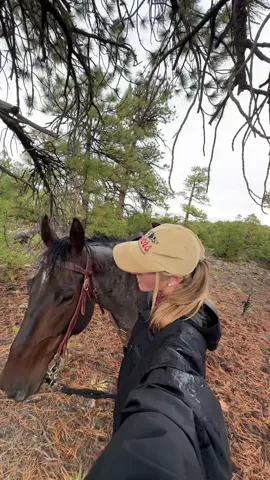 Rainy day mountain jams #horses #horsebackriding #mountains #utah  #creatorsearchinsights 