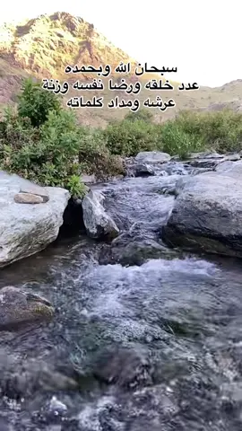 #في هذا اليوم 