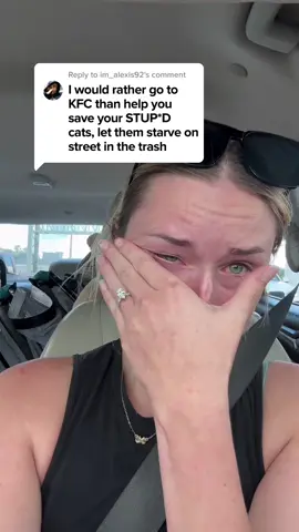 Kind comment would make a big difference #cats #catsoftiktok #shelter 