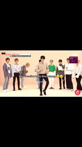 Wonwoo — always the reason Mingyu’s on his knees. 🙂 #wonwoo #mingyu #minwon #meanie 