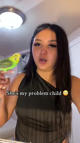 Like excuse me 🙄 #followme #fyp #relatable #birds 