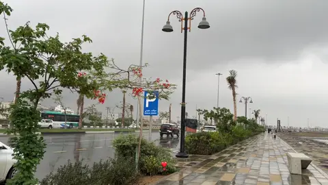 #جازان #اغسطس 
