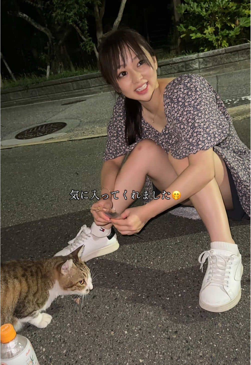 とても臆病で常にひとりぼっちの茶色猫(ちゃーちゃん)が遂に側に寄ってきてくれました🐈🩷 なんか感動するなぁ🤭 #猫のいる暮らし #癒し 