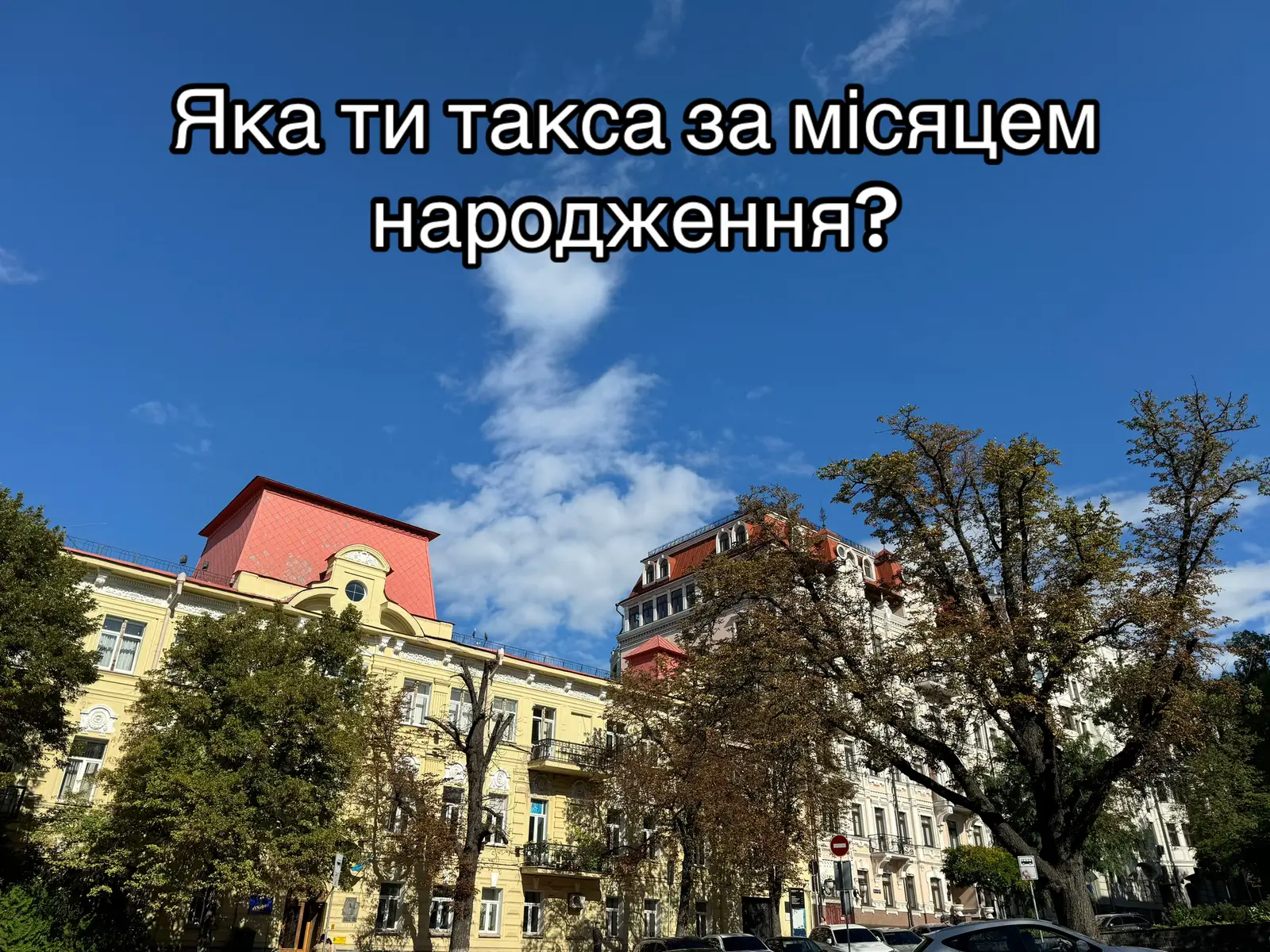 #dogsoftiktok #такса #dauchshund 