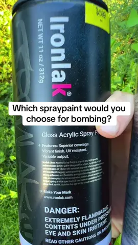 Replying to @NAMEWON2 which spraypaint would you choose for bombing? #spraypaint #graffitiart #spraycan 