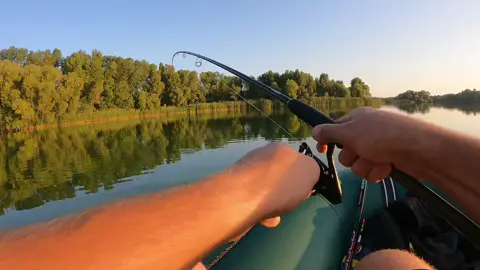 ⚡️ Божевільний момент рибалки на човні: судак зійшов! 🐟 Друзі підпишіться на канал обов'язково! Цього разу на човні була справжня але швидка боротьба! 🎣 На мікро-мандулу потрапив судак приблизно 500+ грам 🐟, але на жаль, він вислизнув… Відео про: 🔥 несподівані моменти рибалки ⚡️ адреналін та емоції на воді 🌊 атмосферу риболовлі з човна 💬 Пиши в коментарях, які у тебе були “сходи” риби! ❤️ Підписуйся на канал, щоб не пропустити ще більше рибальських пригод і трофейних моментів! #рибалка #судак #сходриби #риболовля #дніпро 