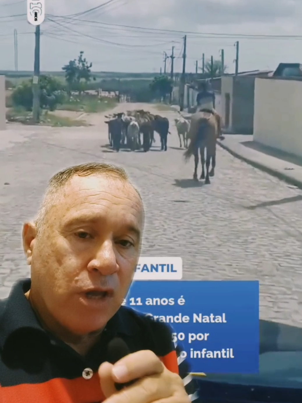 Na grande Natal, em Ceará-Mirim, a polícia rodoviária, apreendeu um menino de 11 anos que tava trabalhando pastorando gado. A mãe do garoto foi presa em flagrante por exploração de trabalho infantil. 