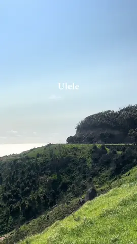 Ref, time out 😔 🕊️ #ulelechallenge #fyp #death 