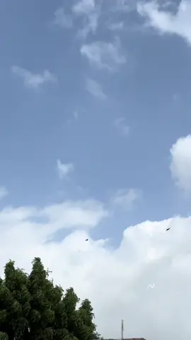 اسان جي موت جو سلسلو جاري آھي دل جا ذرا ذرا ٿي ويا ھن ھاڻي بس باڪي ڪجھ ڏينهن جا مھمان آھيون سائين #fyppppppppppppppppppppppp #foryoupageofficiall #fypシ゚viral #reachdown #unfreezemyacount 