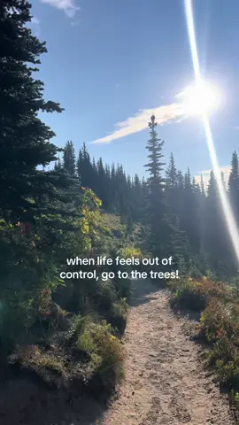 ☮️ go outsideeeee !!