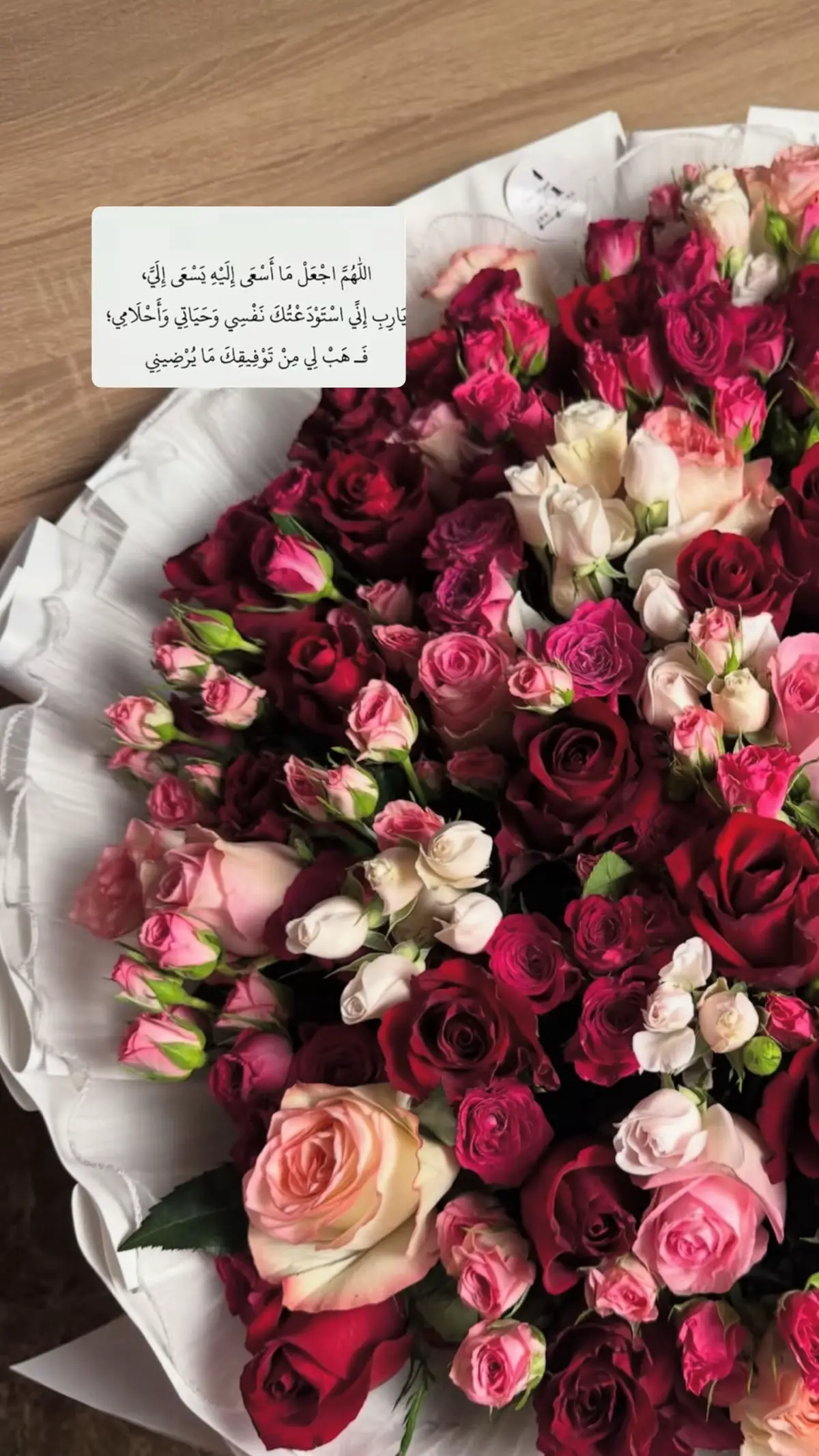 #اكسبلورر #