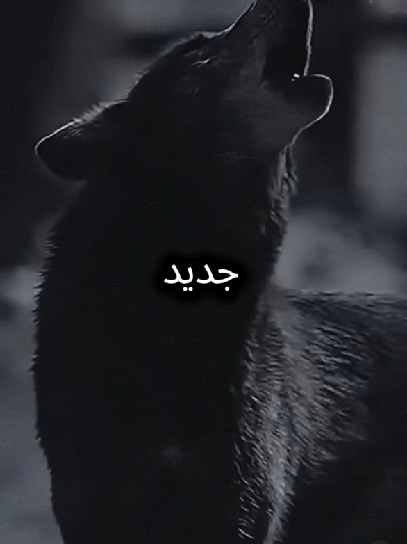 #اقتباسات_عبارات_خواطر #المواقف #اقتباسات 