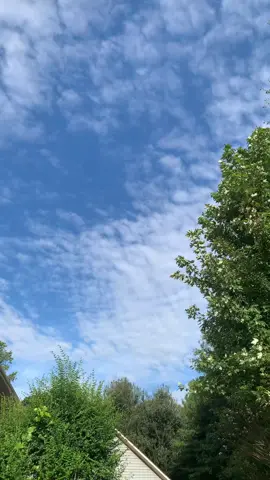 #beautyofaday  mild temperature in a southern state #Alabama #pitsoftiktok#thebudsnixeffect   Half day our Friday off (Tuesday) 🤓😎❤️💙