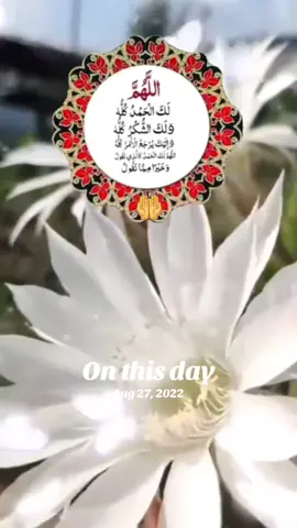 #onthisday #foryoupage❤️❤️ 