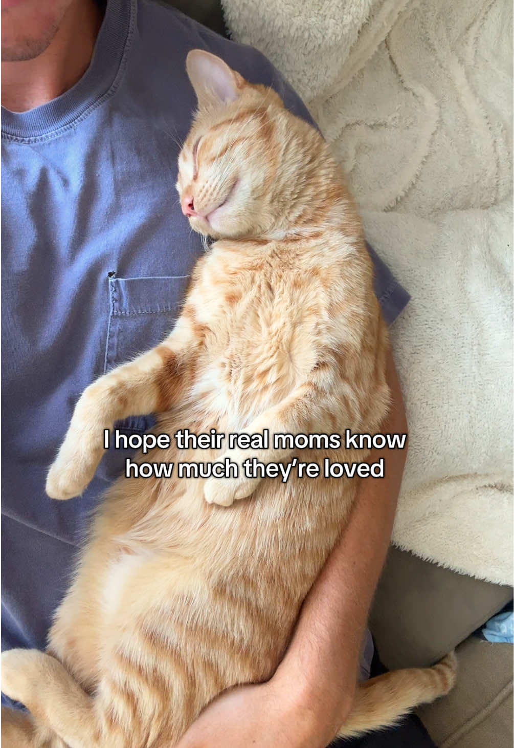 ❤️🐱 