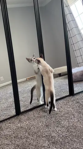 Gary trying to find the reflection 😂