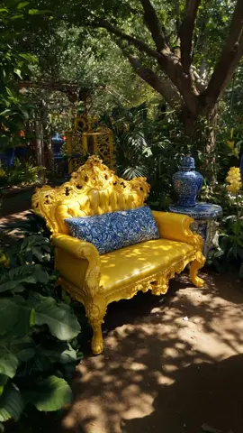 The Symphony of Blue and Yellow