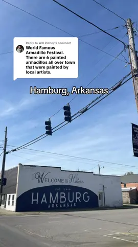 Replying to @Will Richey Hamburg, Arkansas— we have a little feature video planned about you, but for now, here’s a drive through of your downtown square. What should we check out on our next visit to Hamburg? #hamburgarkansas #southarkansas #arkansas @arkansastourism 