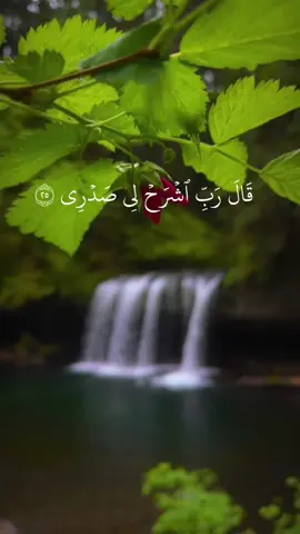 #سوره_طه #ربي_اشرح_لي_صدرى_ويسر_لي_أمري #كروما_قران #طبيعه #سعود_فايز 
