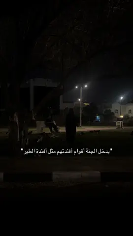 قلوبهم رقيقة، رحيمة، ومتوكلة على الله. حتى رحمتك بقطط الشارع وإطعامك لها يلين قلبك، يخليه أنقى وأقرب للجنة باذن الله🤍