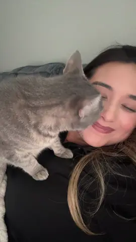 Our daily cuddles🥰  #catsoftiktok #cats #catmom 
