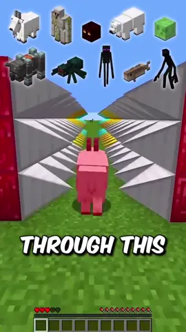 Will the goat make it? #Minecraft #meme #funny #fyp #minecraftchallenge 