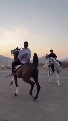 #ترند #اكسبلور #pfypシ #خيل_وخياله🐎 #الشعب_الصيني_ماله_حل😂😂 