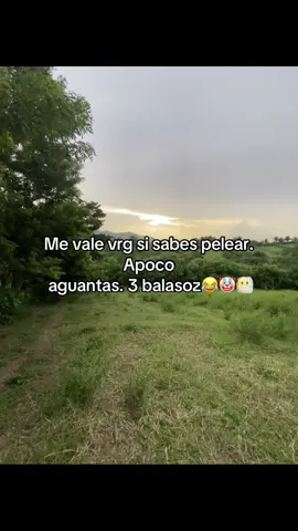#pinchetiktok ## Noleolloroness😶‍🌫️😶‍🌫️🤡🔥🤌