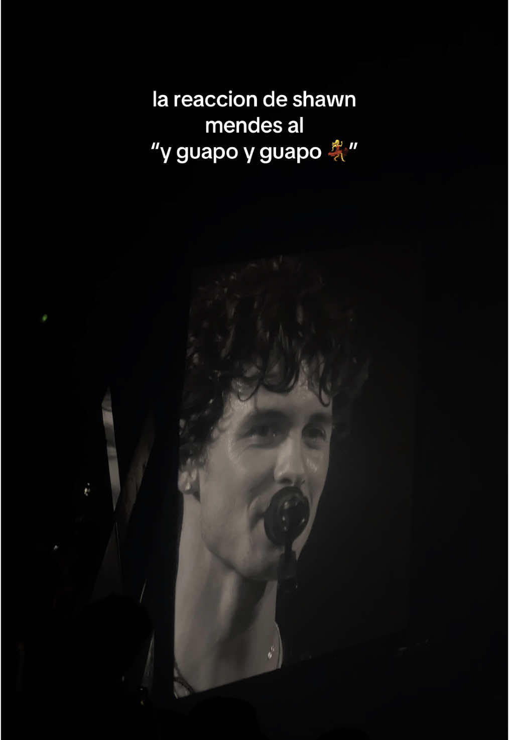 versión masculina de: y reina y reina💃 #shawnmendes #ontheroadagain #movistararena #fyp #guapo 
