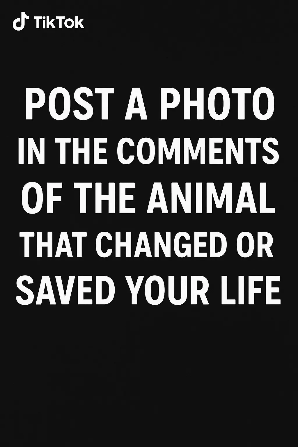 I wanna see and hear the stories of the animal who changed your life! Mine is Booey. Words cannot even begin to describe everything she did for me. She literally saved my life more than once, she was like my child and I miss her every day. I’ll see you over the Rainbow Bridge some day baby girl. 