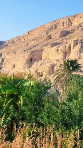 ‏كلام صحيح👌##اسيوط_سوهاج_قنا_الاقصر_اسوان_المنيا